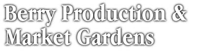 Berry Production and Market Gardens