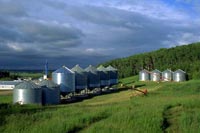 Grain Bins