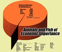 Economic animals