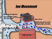 Ion Movement