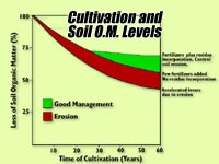 Soil Organic Matter