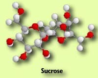 Sucrose