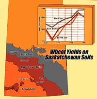 Wheat Yields