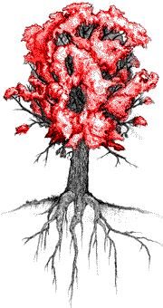 [PARTS OF A TREE - LEAVES HIGHLIGHTED]