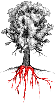 [PARTS OF A TREE - ROOTS HIGHLIGHTED]