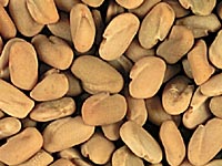 Fenugreek seed