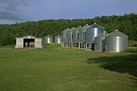 Grain Bins