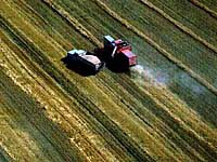 Grain Harvest