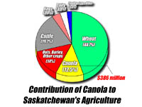 Canola Pie Chart