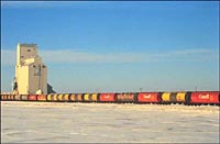 Grain Elevator and Railcars