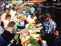 Farmer's Market