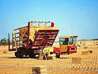 Bale Wagon