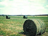 Round Bales