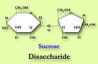 Sucrose