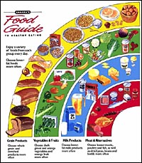 Food Guide