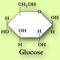 Glucose