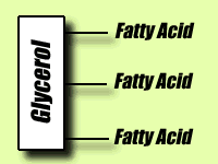 Simple Lipid