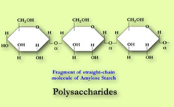 Polysaccharide