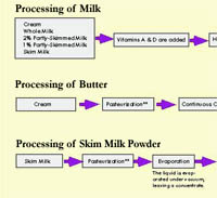 Milki Processing