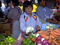 Boy Fruit Seller