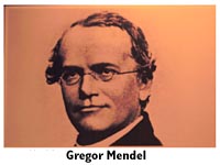 Gregor Mendel