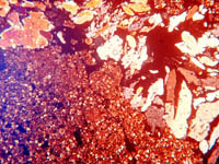 Soil thin section