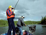 Sport Fishing