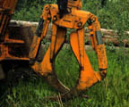 Forestry Industry